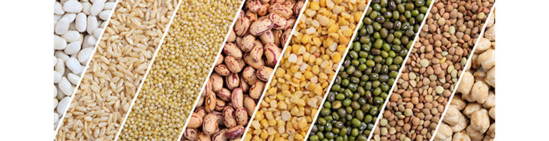 Wheat, Rice, Pulses and Legumes